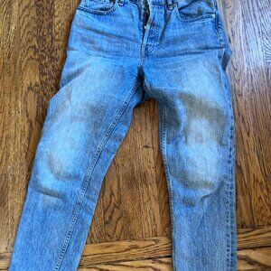 Everlane 90's Cheeky Jean Size 26